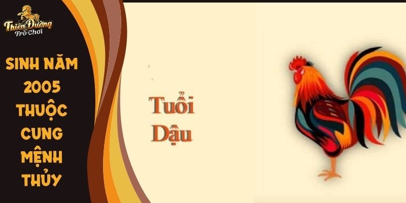 2005 tuổi con gì - Thuộc dậu với cung mệnh thủy nhiều trắc trở